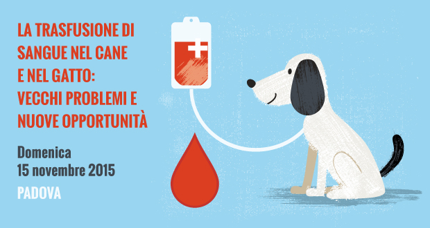 Trasfusione di sanuge nel cane e nel gatto, giornata di formazione a Padova