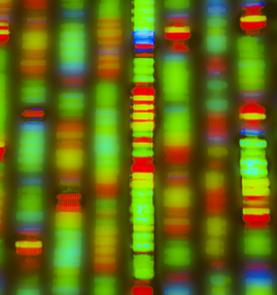 sequenziamento DNA